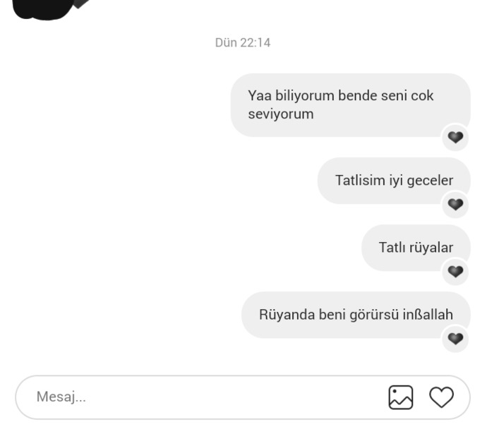 Sevgilim niye cevap yazmadı sadece yolladı mesaj begendi bu kadar niye neden?