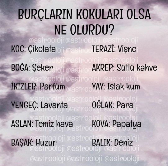 Bir kokun olsaydı, kokun ne olurdu?