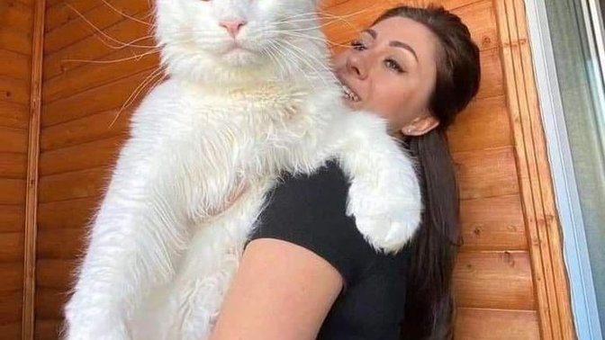 Bu kedi senin olsaydı ismini ne koyardın?