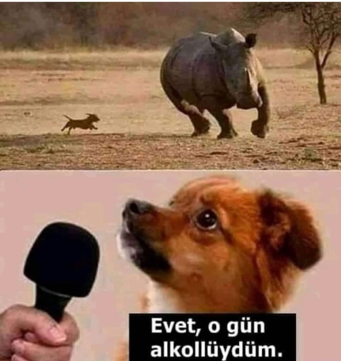 Sizin de kendinizde değilken başınıza gelen komik şeyler/olaylar var mı?