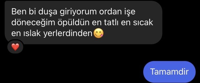 Sevgilim benle öpüşmek mi istiyor daha 1 gün oldu çıkmaya başlayalı ya?