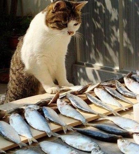 Neyi görünce elin ayağın titrer?