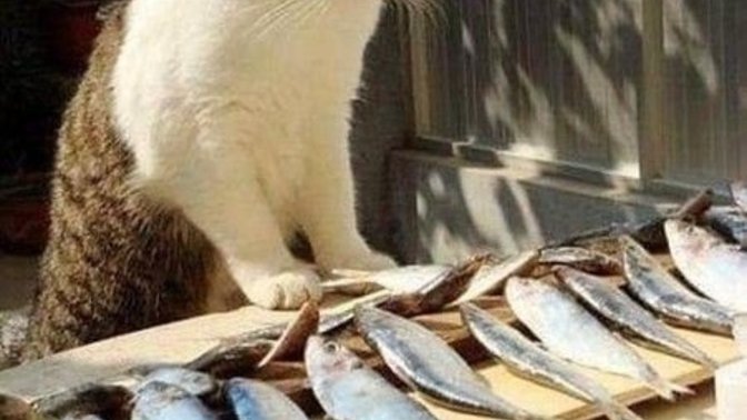 Neyi görünce elin ayağın titrer?
