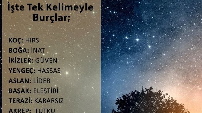 Burcunu tek kelimeyle anlat desem ne derdin?