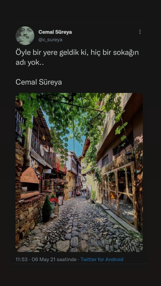 En sevdiğiniz Cemal Süreyya sözü hangisi?