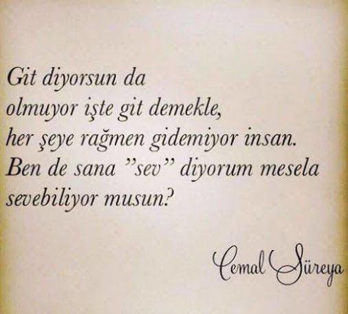 En sevdiğiniz Cemal Süreyya sözü hangisi?