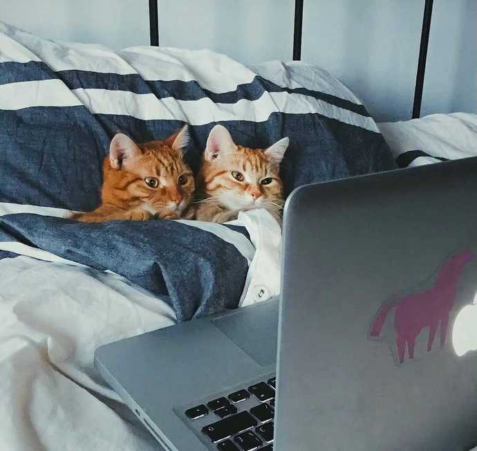 Diziler & Filmler