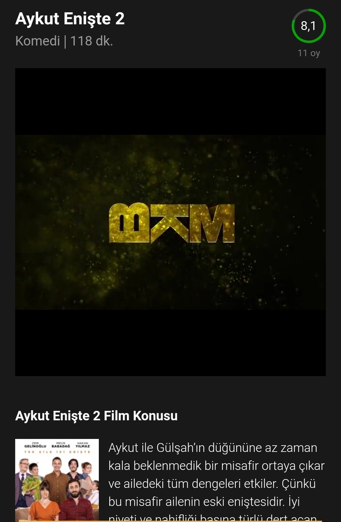 Aykut Enişte 2 filmine gidenler var mı?