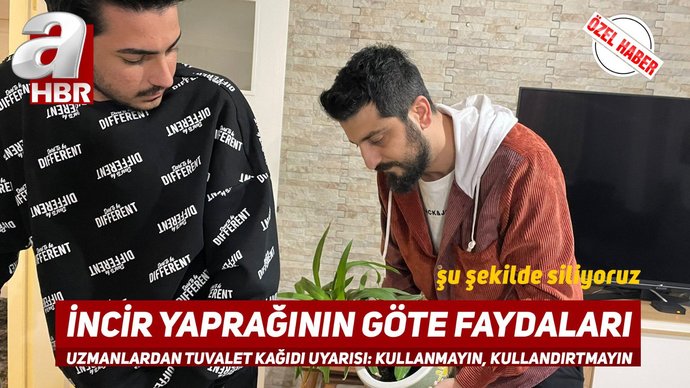 Tuvalet kağıdı ve kağıt havluya zam geldi! Şimdi ne edeceğiz 😆?