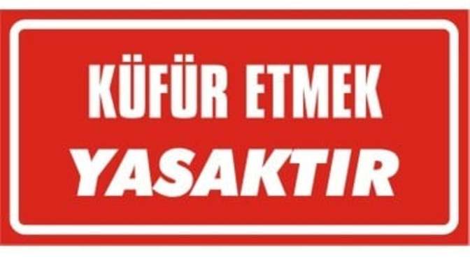 Türkler küfürden hoşlanıyor mu? Küfür ederek para kazanılır mı? Hasan Can Kaya'nın programı sonlandırılmalı mı?