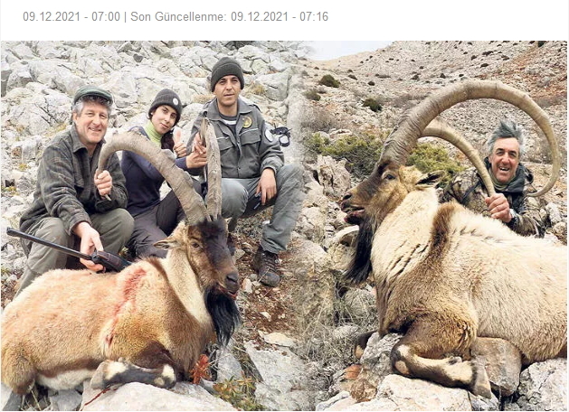 Keçi avlamak için İspanyadan Tunceliye geliyorlar! Sizce avcılık yasaklanmalı mı?