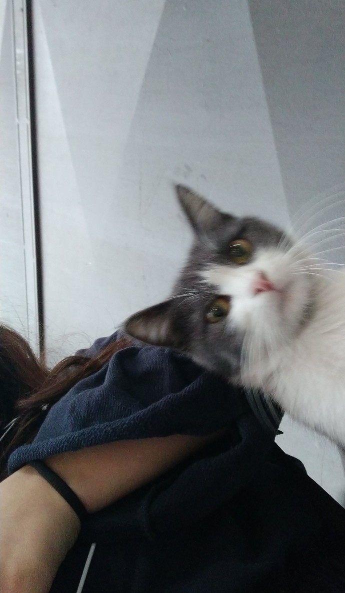 Yeni dert ortağım nasıl?
