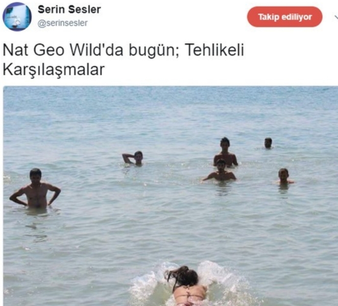 😂😂