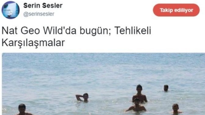 Film ve dizileri sevmeyen yok mu?