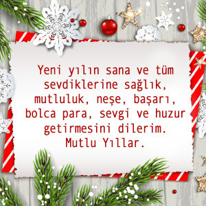Yeni yıla sayılı günler kaldı, yeni yılda hedefin nedir?