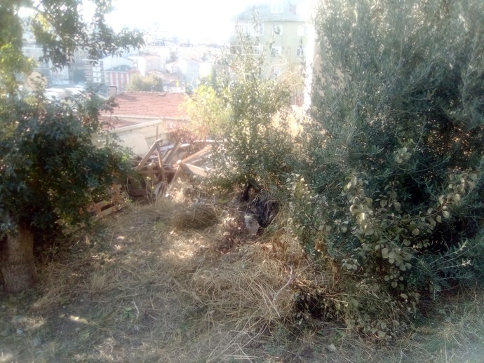yanımızdaki çöplüğe dönen arsa