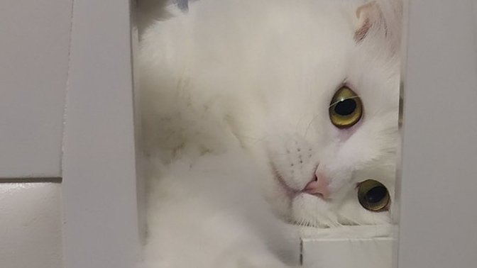 Güne başlarken size iyi hissettiren bir şey paylaşın desem bu ne olurdu?