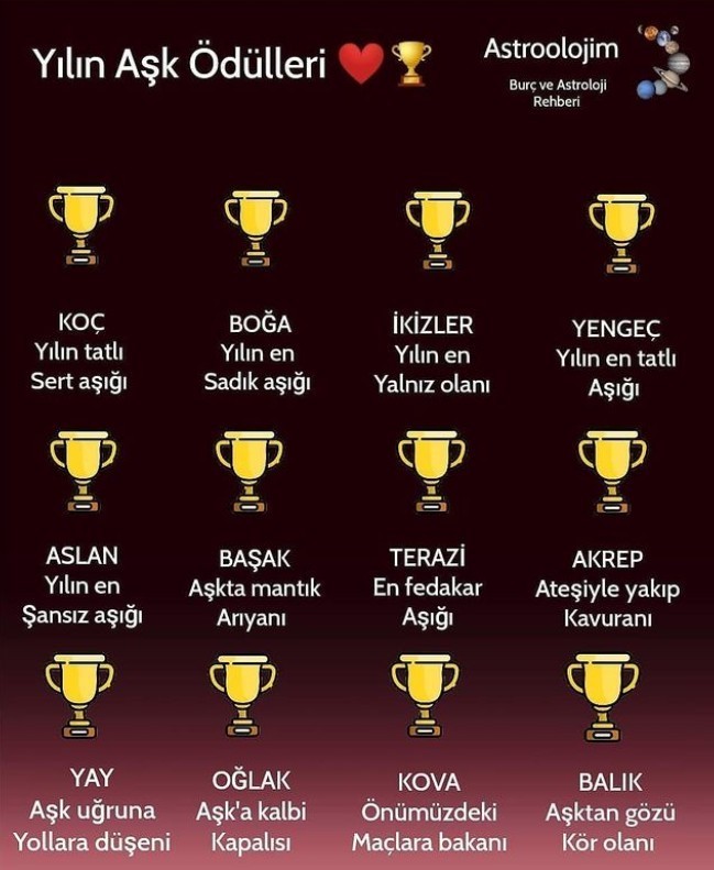 Yılın aşk ödülleri🏆 Senin burcun hangisi?