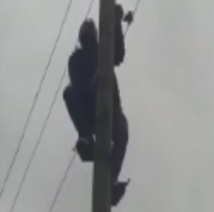 Tek elle elektrik telini tutan kişi çarpıldı! Sizi hiç elektrik çarptı mı?
