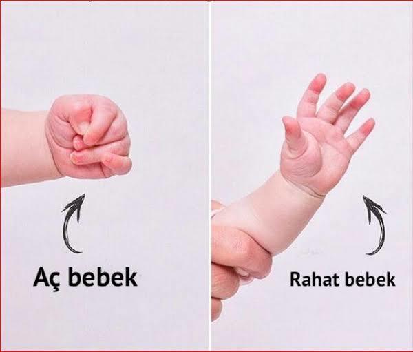 ✊✊🤚
