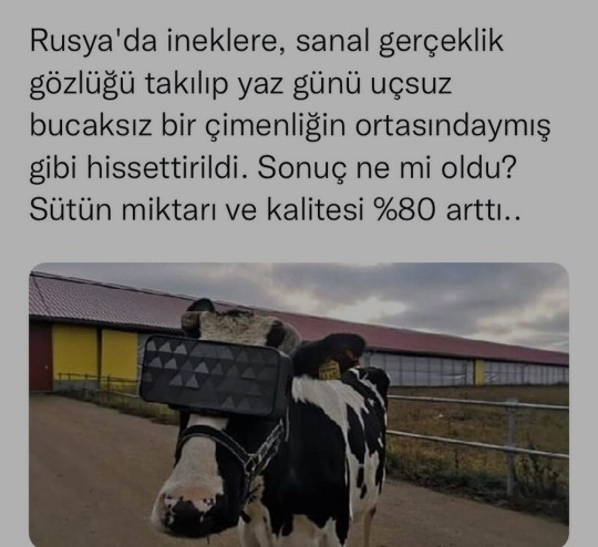 sıkı tutunun META-VERSE geliyor.. metaverse hakkında ne düşünüyorsunuz?