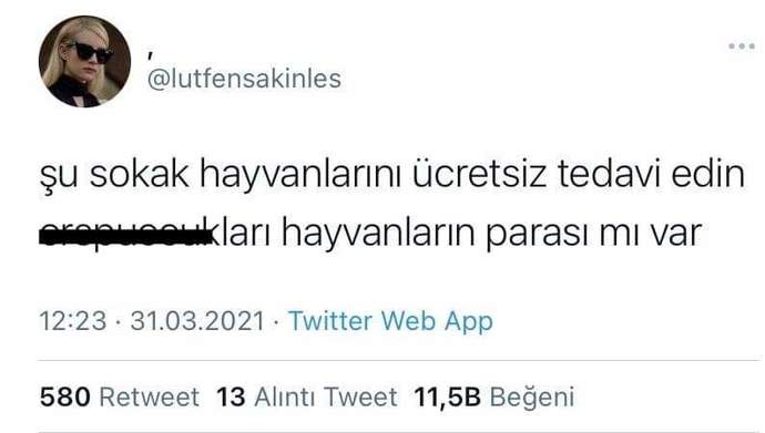 Sokakta gördüğünüz felçli kedi ve köpekler için ne yapıyorsunuz?