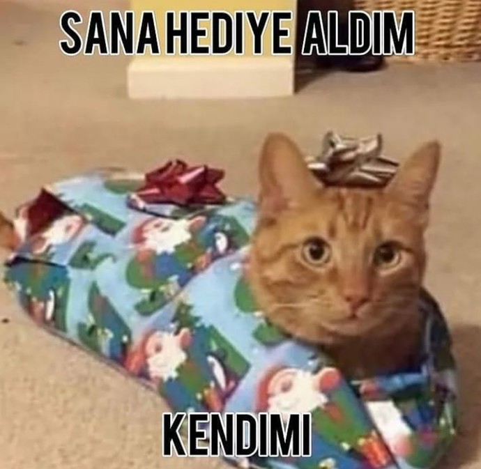 Kedimi, kendime hediye edicem bn ♠️