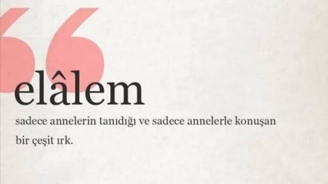 El alem ne der baskısı yüzünden yapmak isteyip yapamadığınız şey nedir?
