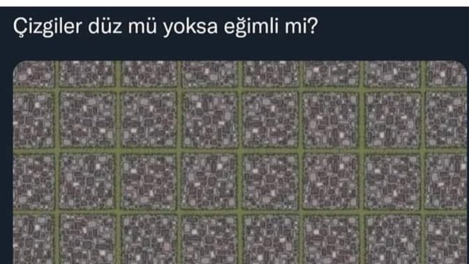 Çizgiler düz mü yoksa eğimli mi?