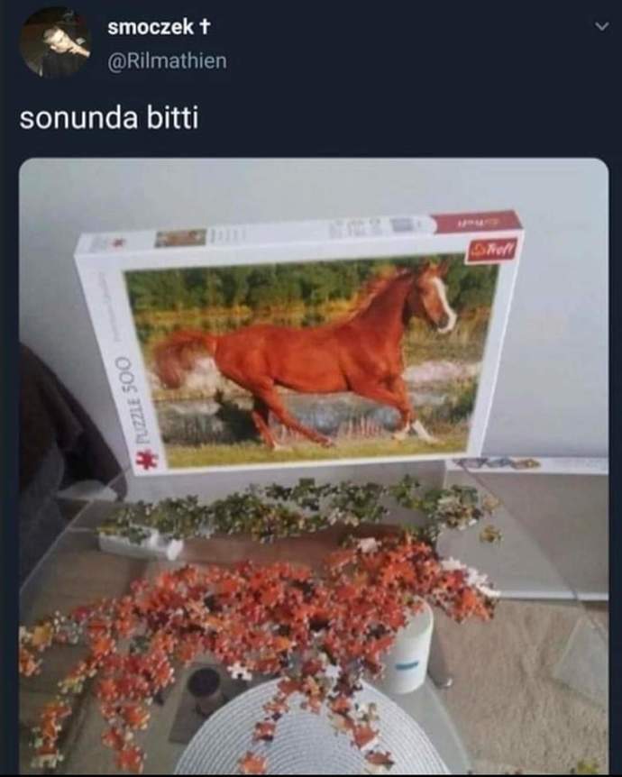 Hiç yapboz oyunlarını yaptınız mı?
