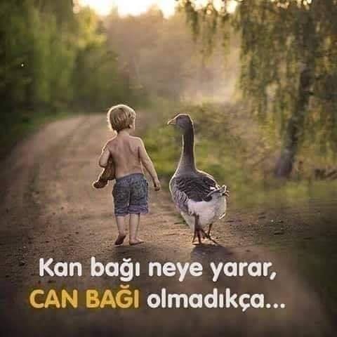 Ailede babalık nedir? Dna paylaşımı mı yoksa yapılan fedakarlıklar mı?