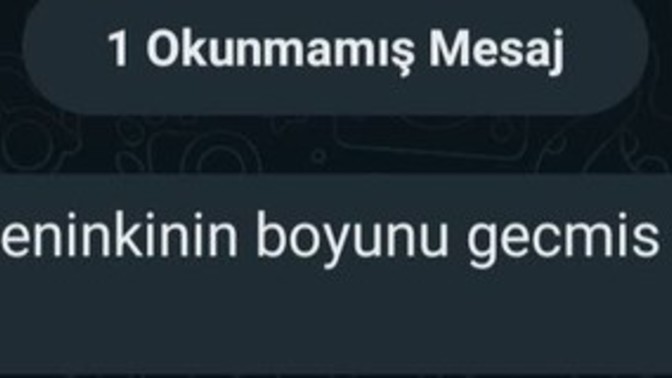 Partnerinizin cinsel şakalarına kırılır mısınız yoksa siz de gülüp geçer misiniz?