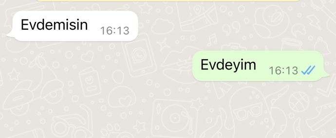 Evde değilim bu arada jsjs arkadaşıyla yemekte ben gitmekten vazgeçtim kendi arkadaşımla çıktım