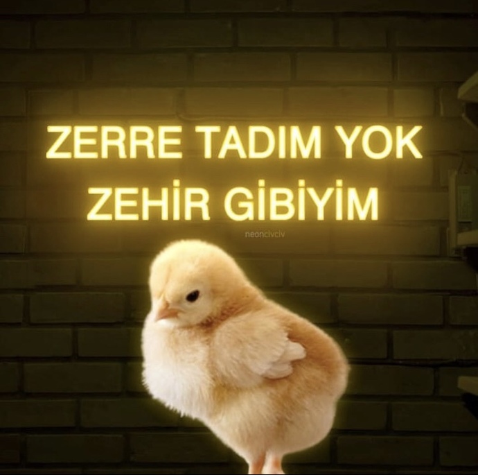 Ruh halinizi anlatan bi fotoğraf ekleyin desem?