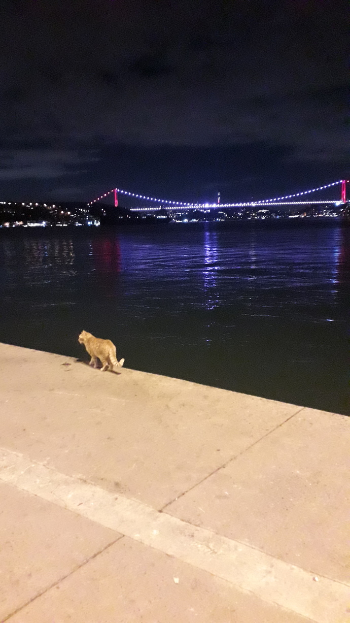 An itibariyle gecenize neler eşlik ediyor?