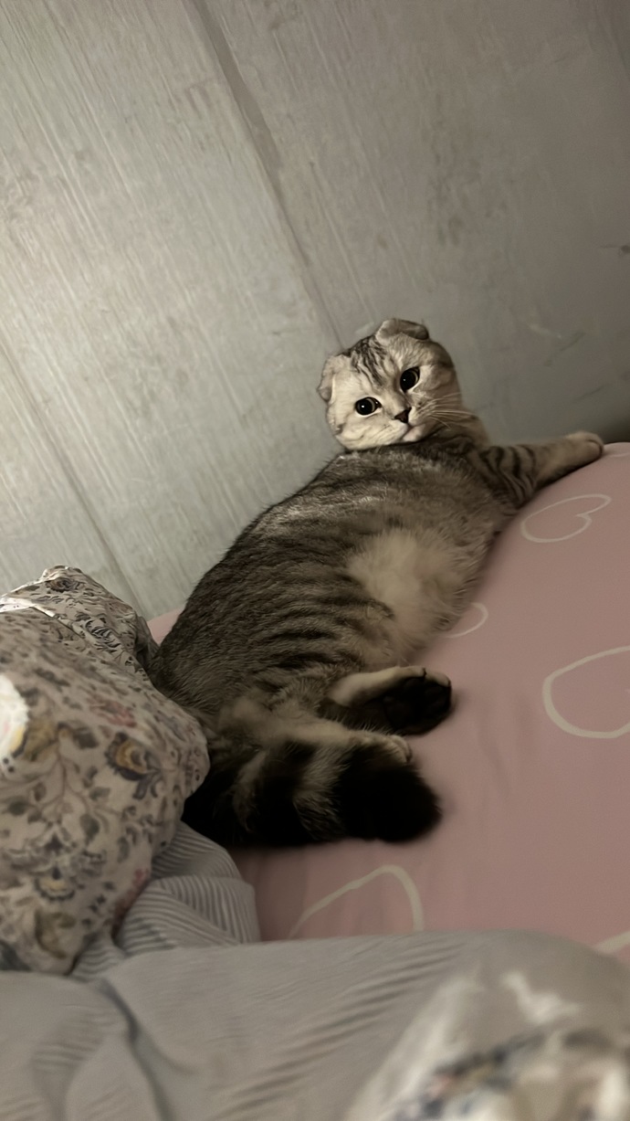 Yuumi ve loş ışık 🤍