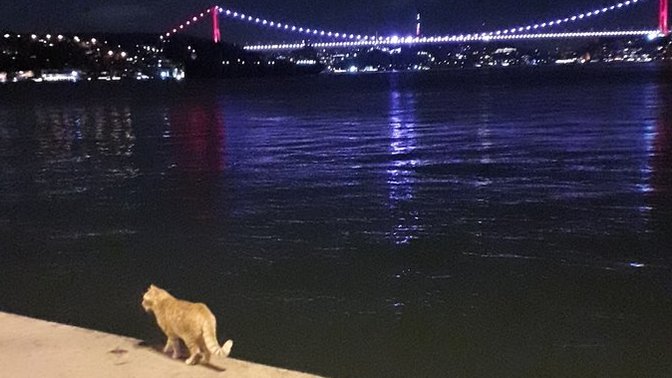 An itibariyle gecenize neler eşlik ediyor?
