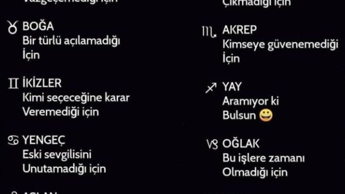 Burcuna göre neden sevgilin yok?