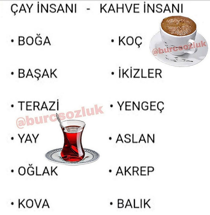Ne alırdınız çay/kahve?