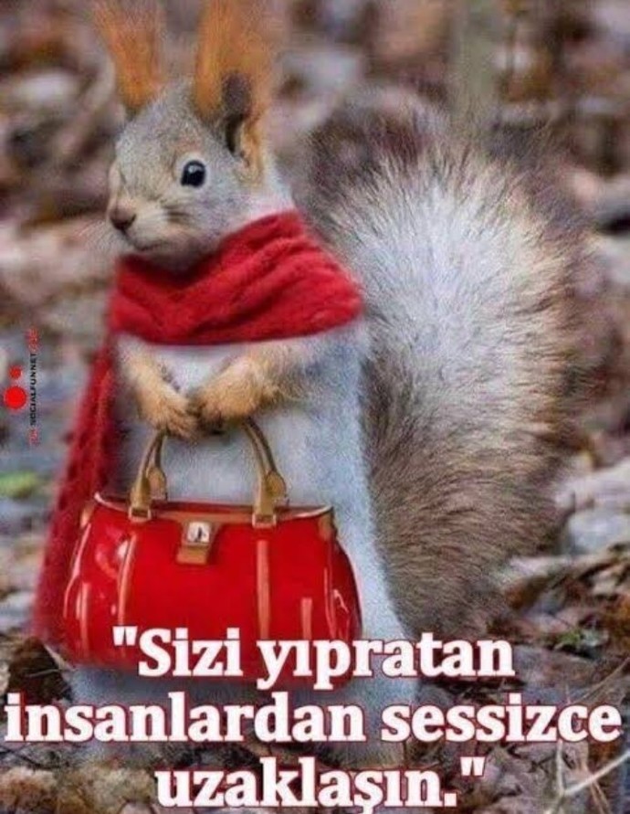 Arkadaşlar çok güzelim ama kendimi çok çirkin hissediyorum napabilirim?