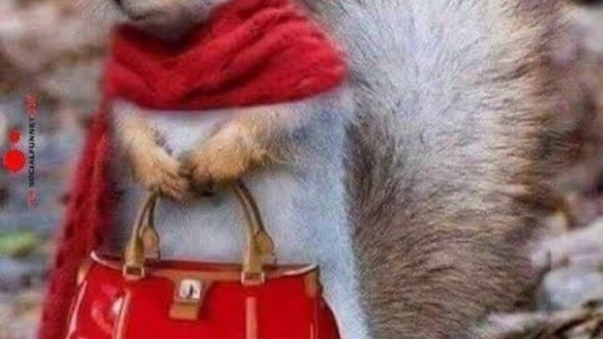 Arkadaşlar çok güzelim ama kendimi çok çirkin hissediyorum napabilirim?