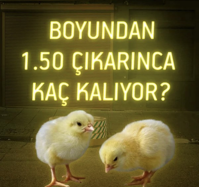 Kendi boyunuz da 1.50 santim çıkartırsanız ne kadar kalıyor?