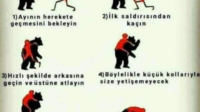 Olası bir ayı saldirisindan yapmaniz gerekenleri biliyormusun?