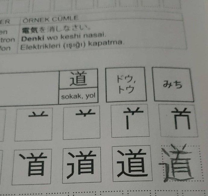 Japoncamı nasil geliştirebilirim?