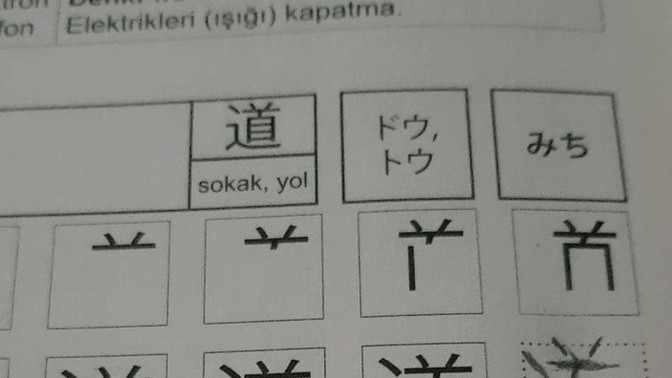 Japoncamı nasil geliştirebilirim?