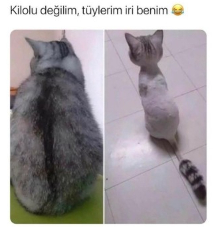 ''Kilo mu aldın sen?'' diyenlere yaratıcı bir cevap olarak ne söylersiniz?