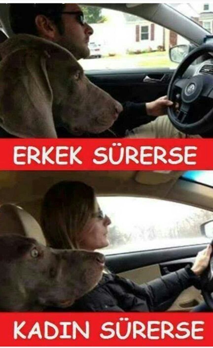 Kadın sürücüler hakkında ne söylemek istersiniz?