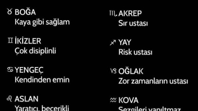 Burcunu bir kelime i̇le anlat desem ne dersin?