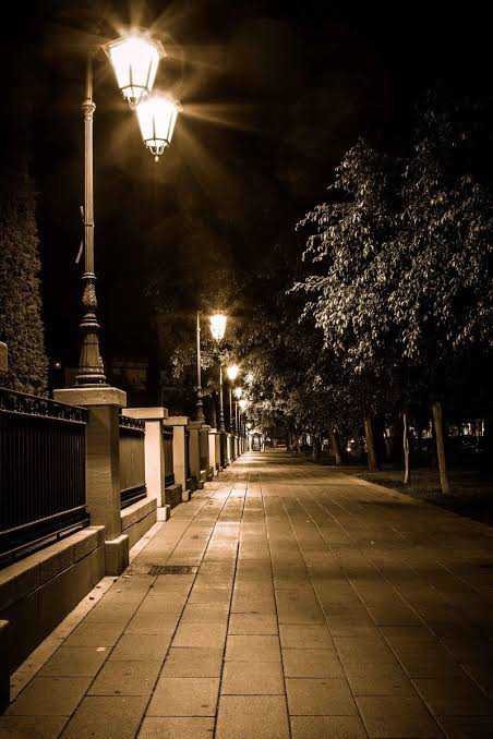 Yürüyüş sizce gündüz mü yoksa gece mi daha çok huzur veriyor?