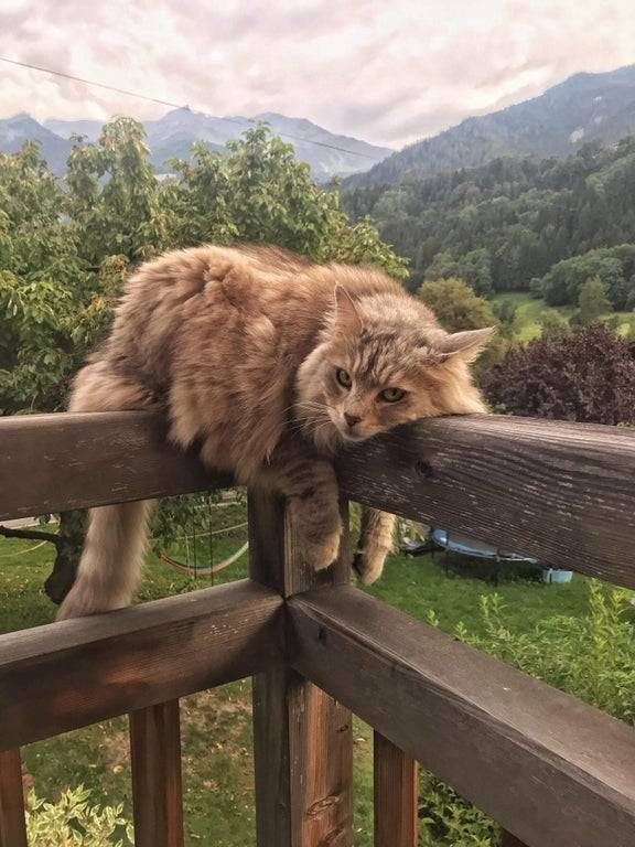 Türkiye gündeminde ekonomi var, peki sizin gündeminizde ne var?